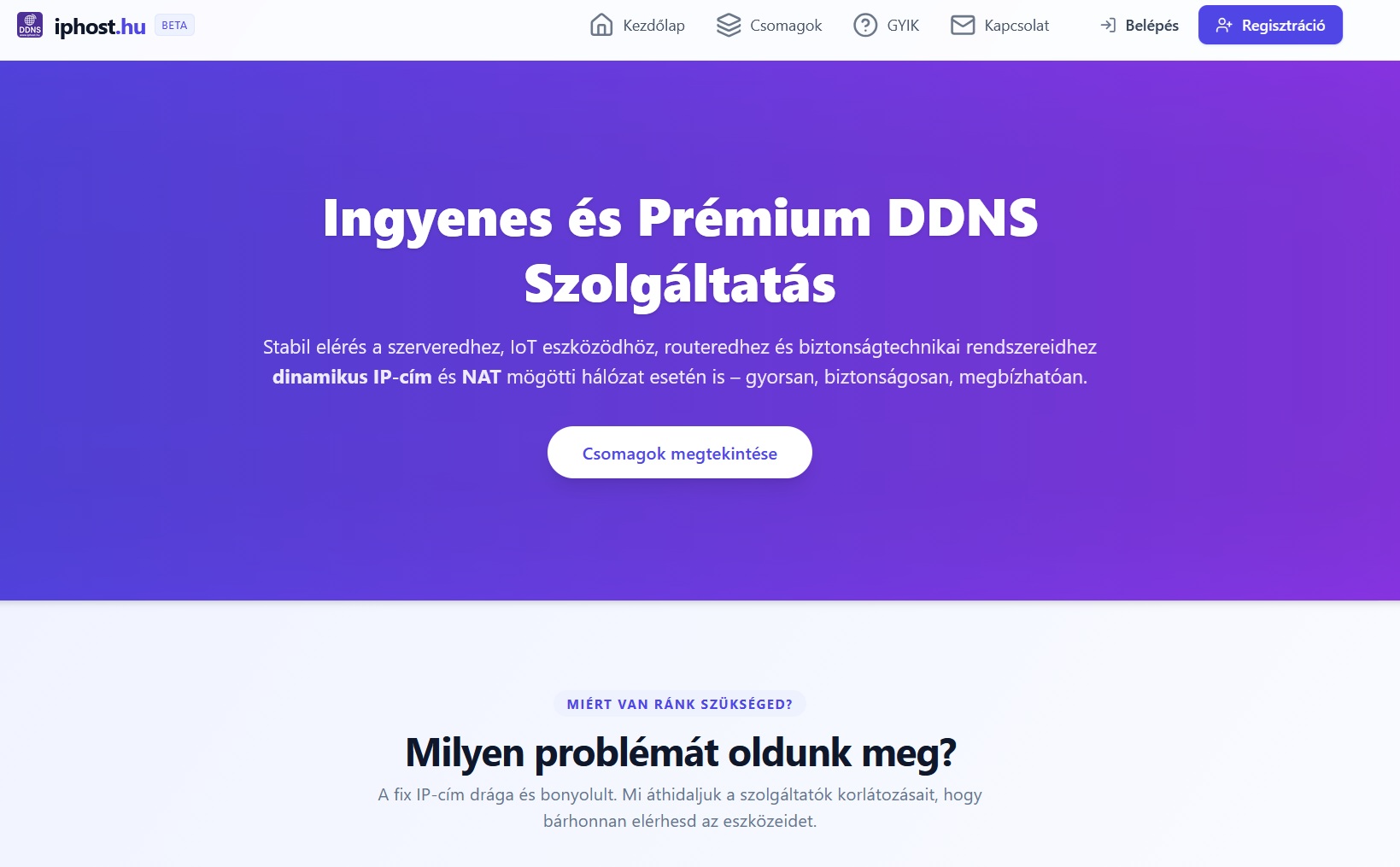 Projekt név